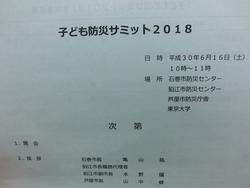 子ども防災サミット２０１８ 狛江第五小学校