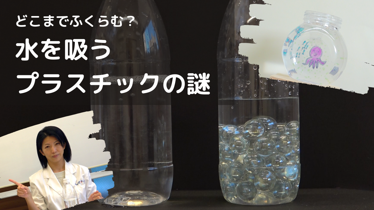 どこまでふくらむ？水をすうプラスチックの謎